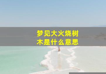 梦见大火烧树木是什么意思