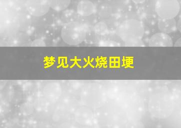 梦见大火烧田埂