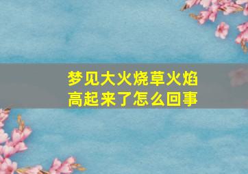 梦见大火烧草火焰高起来了怎么回事