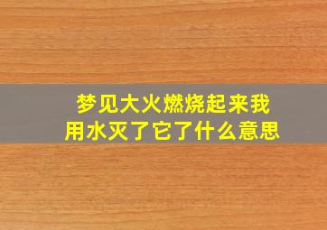 梦见大火燃烧起来我用水灭了它了什么意思