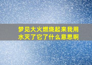 梦见大火燃烧起来我用水灭了它了什么意思啊