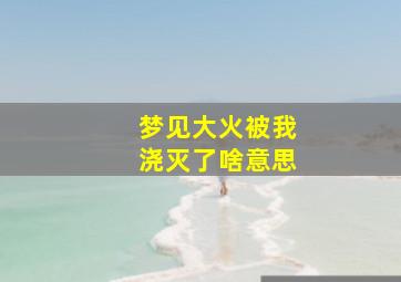 梦见大火被我浇灭了啥意思