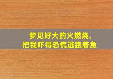 梦见好大的火燃烧,把我吓得恐慌逃跑着急