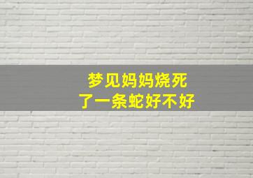 梦见妈妈烧死了一条蛇好不好