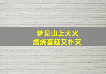 梦见山上大火燃烧蔓延又扑灭