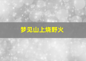 梦见山上烧野火