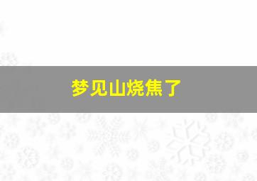 梦见山烧焦了