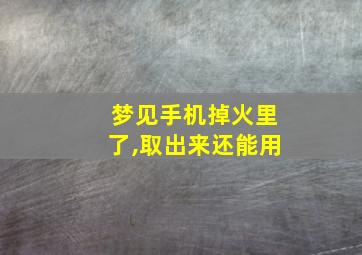 梦见手机掉火里了,取出来还能用