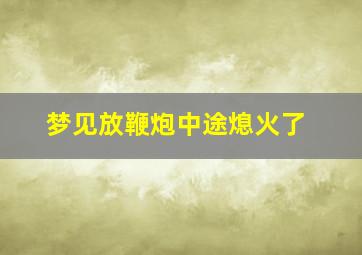 梦见放鞭炮中途熄火了