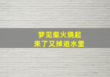 梦见柴火烧起来了又掉进水里