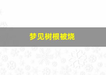 梦见树根被烧