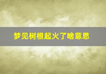 梦见树根起火了啥意思