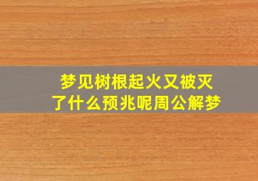 梦见树根起火又被灭了什么预兆呢周公解梦