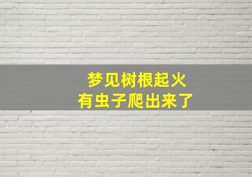 梦见树根起火有虫子爬出来了