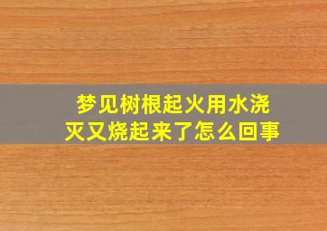 梦见树根起火用水浇灭又烧起来了怎么回事