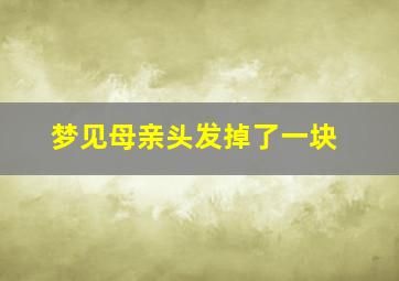 梦见母亲头发掉了一块