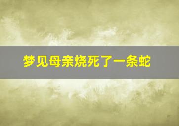 梦见母亲烧死了一条蛇