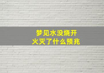 梦见水没烧开火灭了什么预兆