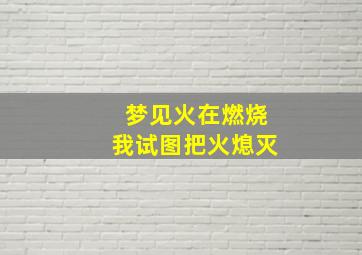 梦见火在燃烧我试图把火熄灭