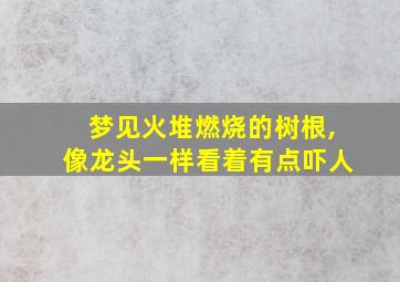 梦见火堆燃烧的树根,像龙头一样看着有点吓人