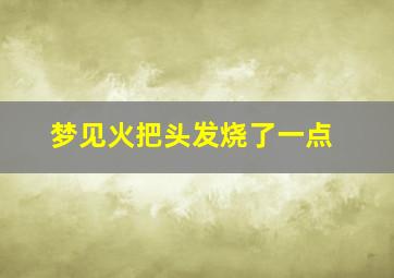 梦见火把头发烧了一点