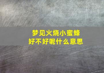 梦见火烧小蜜蜂好不好呢什么意思