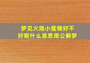 梦见火烧小蜜蜂好不好呢什么意思周公解梦