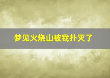 梦见火烧山被我扑灭了