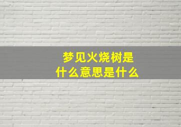 梦见火烧树是什么意思是什么