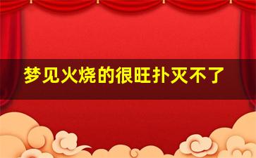 梦见火烧的很旺扑灭不了