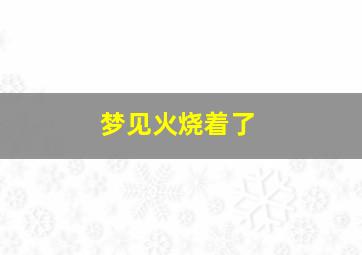 梦见火烧着了