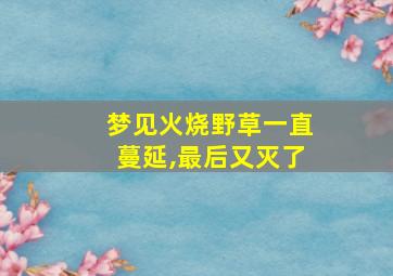 梦见火烧野草一直蔓延,最后又灭了