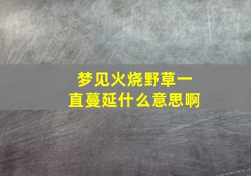 梦见火烧野草一直蔓延什么意思啊