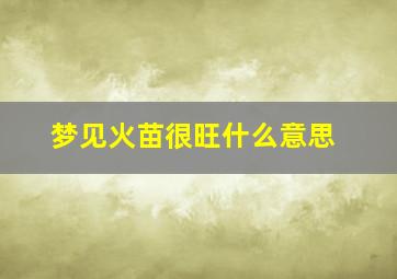 梦见火苗很旺什么意思