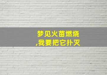 梦见火苗燃烧,我要把它扑灭