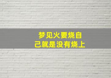 梦见火要烧自己就是没有烧上