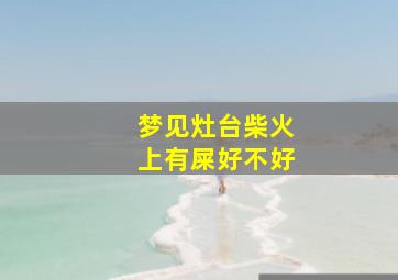 梦见灶台柴火上有屎好不好