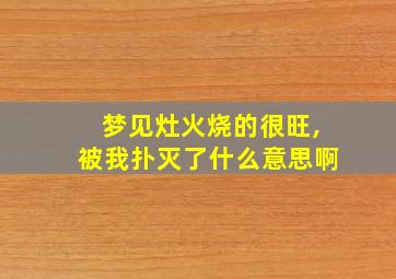 梦见灶火烧的很旺,被我扑灭了什么意思啊