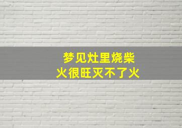 梦见灶里烧柴火很旺灭不了火