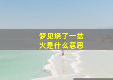 梦见烧了一盆火是什么意思