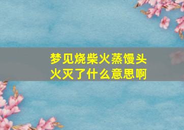 梦见烧柴火蒸馒头火灭了什么意思啊