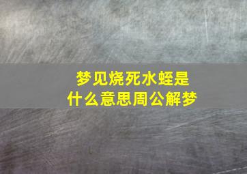 梦见烧死水蛭是什么意思周公解梦