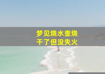 梦见烧水壶烧干了但没失火