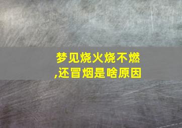 梦见烧火烧不燃,还冒烟是啥原因