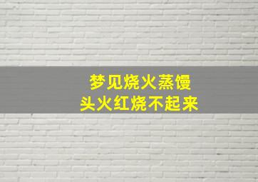 梦见烧火蒸馒头火红烧不起来