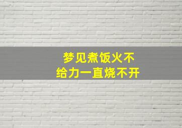 梦见煮饭火不给力一直烧不开