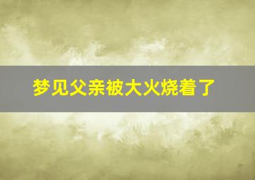 梦见父亲被大火烧着了