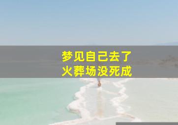 梦见自己去了火葬场没死成