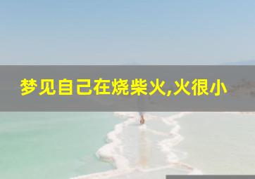 梦见自己在烧柴火,火很小