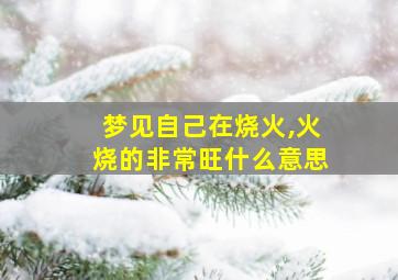 梦见自己在烧火,火烧的非常旺什么意思